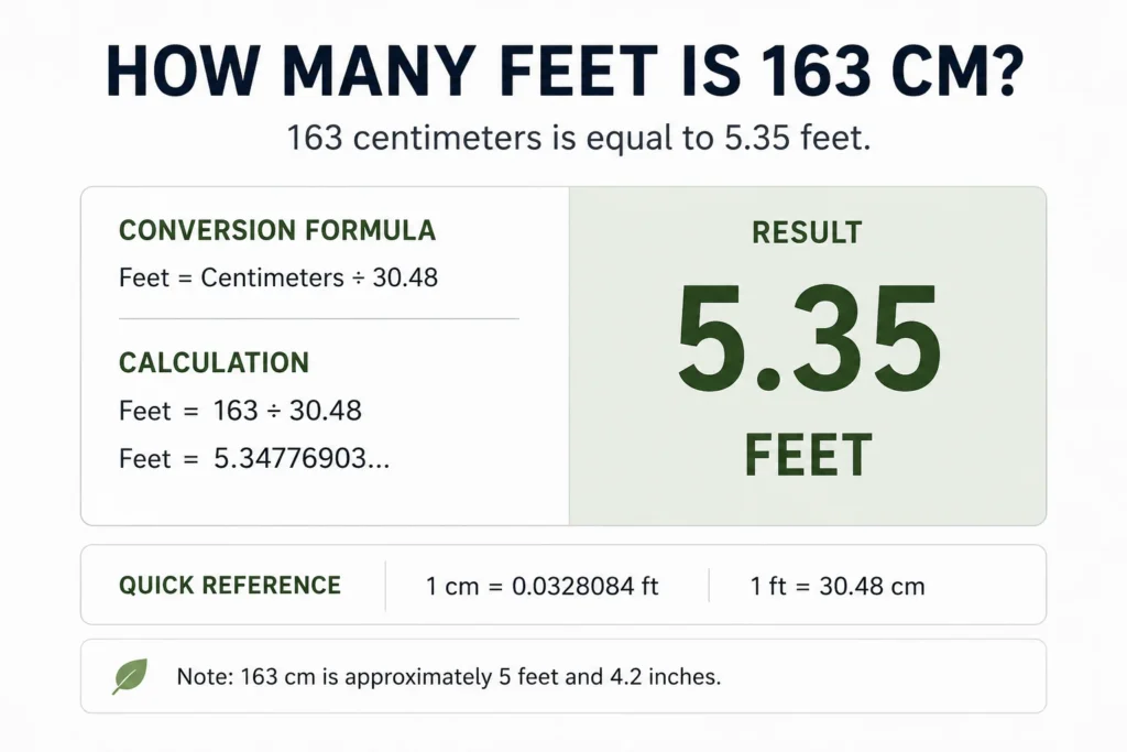 how many feet is 163 cm