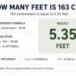 how many feet is 163 cm
