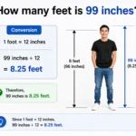 how many feet is 99 inches