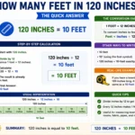 How Many Feet in 120 Inches?