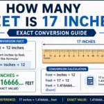 how many feet is 17 inches