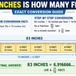 how many feet is 83