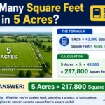 how many square feet in 5 acres