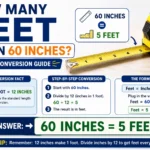 how many feet are in 60 inches