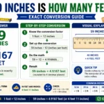 59 inches is how many feet