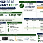 64 inches is how many feet