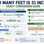 How Many Feet Is 31 Inches? Exact Conversion Guide