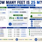 how many feet is 25 m