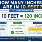 how many inches are in 10 feet