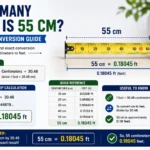 how many feet is 55 cm