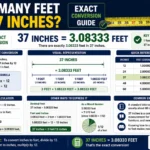 how many feet is 37 in