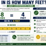 48 in is how many feet