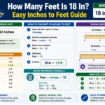 how many feet is 18 in