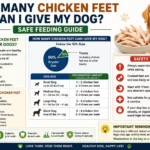 How Many Chicken Feet Can I Give My Dog