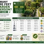 How Many Square Feet of Garden Per Person