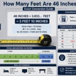 How Many Feet Are 46 Inches