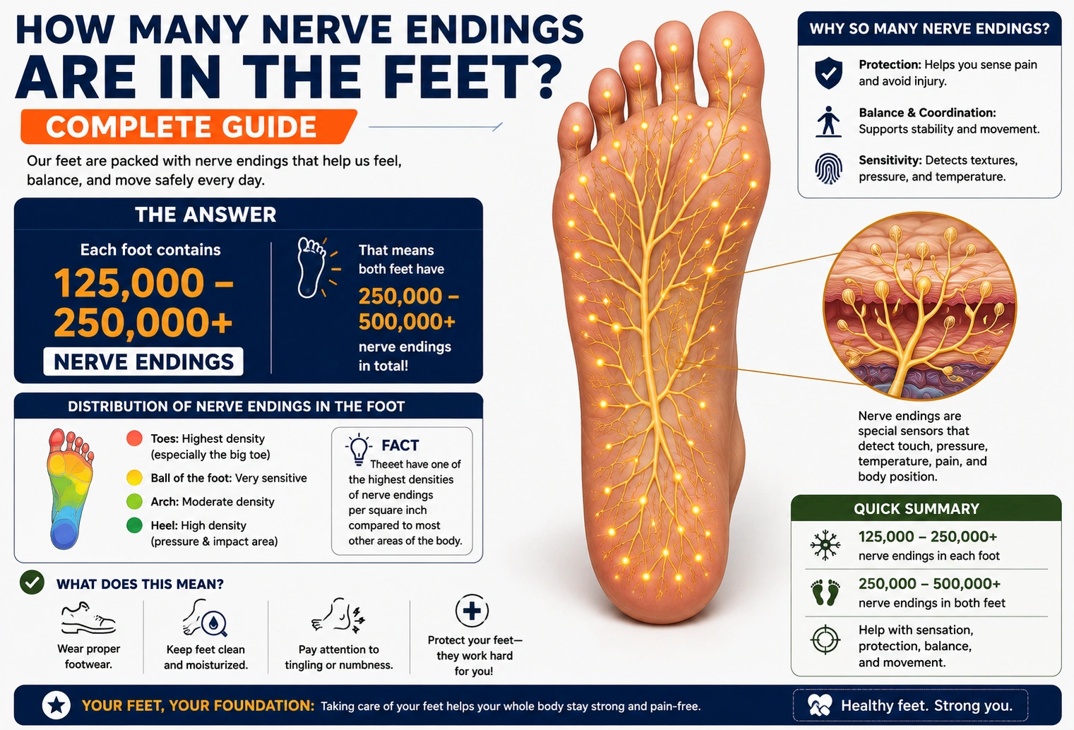 How Many Nerve Endings Are in the Feet